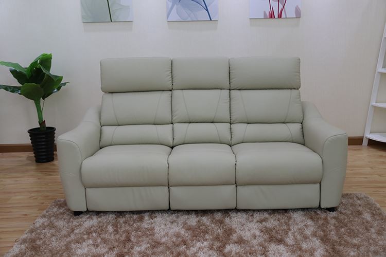 Power Recliner With Adjustable Headrest And Lumbar