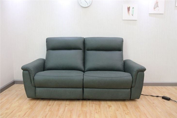 Loveseat Reclining Sofa With Power Headrest